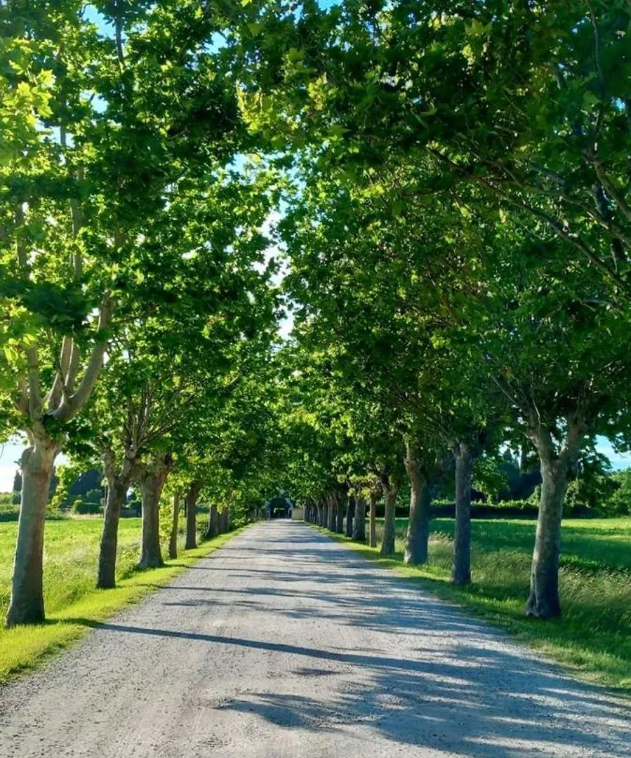 Holiday home Il Tuo Casale In Toscana La Cinquantina